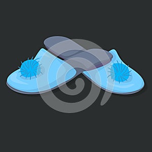 Two blue slippers