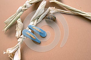 Two blue snap hair clips with embroidered pieces of wheat on solid beige background with dry leaves of corn and a snail shell.