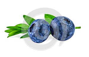 Two Blueberries with Green Leaf Isolated on White