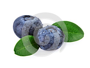 Two Blueberries Macro Closeup