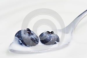 Two Blueberries and Yogurt on a Spoon