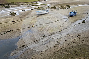 Dos atado sobre el arena de estuario sobre el bajo mareas en,, 