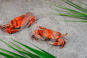 Two boiled crabs with grass on a grey surface