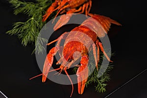 Boiled crayfish on a black plate