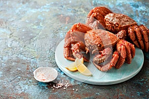 Two boiled hairy or horsehair crab on a wooden plate photo