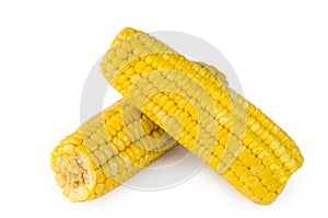 Two boiled sweet corn on cob