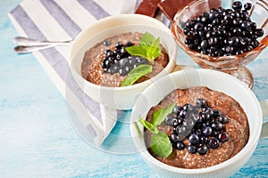 Two boils with Chia seed pudding with berries and carob