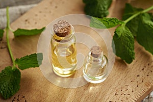 Two bottles of aromatherapy essential oil with fresh peppermint leaves