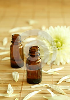 Two bottles of essence oil and chrysanthemum.