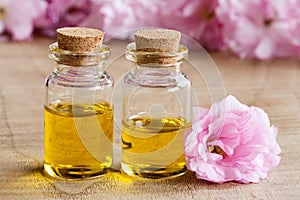 Two bottles of essential oil with pink cherry blossoms