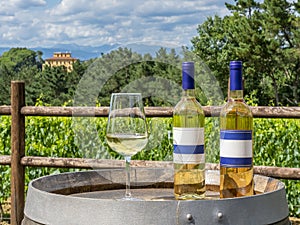 Two bottles and a glass of white wine on a wooden barrel with the Tuscan countryside in the background, Italy, on a sunny day