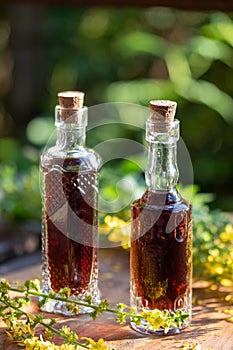 Two bottles of herbal tincture with fresh agrimony plant