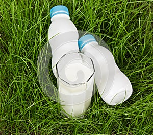 Two bottles milk and in glass on background green grass.