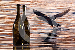 Two bottles from red wine and cormorant flying over the river