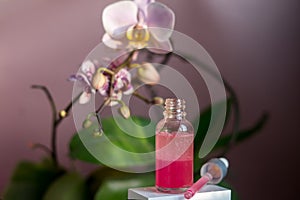Two bottles of serum or essential oil with orhid. Glass bottles with cosmetic oils. Spa concept
