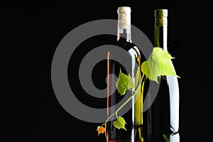 Two bottles wine twined by grapevine