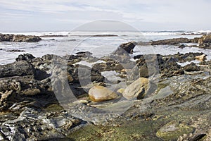 Two Boulders in Rock Pool