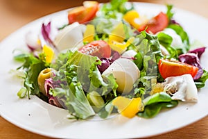 Two bowls of delicious fresh salad with mozzarella