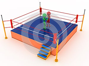 Two boxers in a boxing ring #4