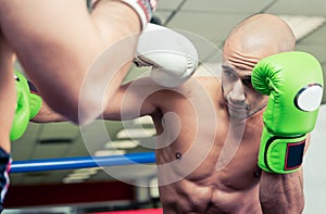 Two boxers training