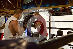 Two Boxers At Training photo