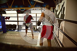 Two Boxers At Training