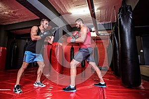 Two boxing men exercising together