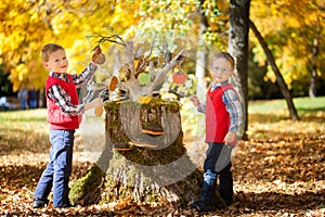 Two boys in the autumn park