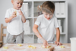 Two boys - brothers enthusiastically prepare homemade cookies using culinary molds, cut figurines from dough.