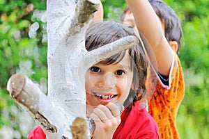 Two boys climbing on a tree