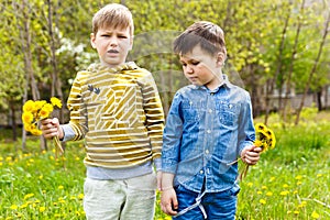 Two boys with dandelions in their hands are on the lawn in the spring