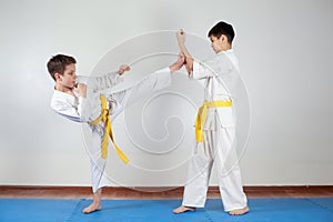 Two boys demonstrate martial arts working together