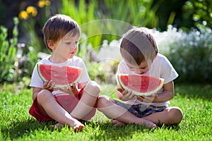 Two boys, eating watermelon in the garden