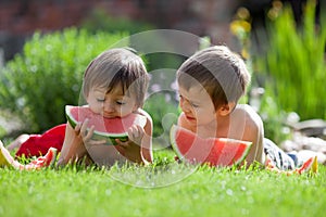 Two boys, eating watermelon in the garden