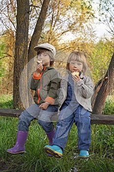 Two boys on the forest
