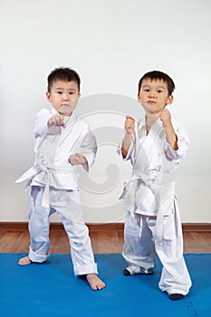 Two boys girls demonstrate martial arts working together