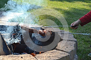 Two boys are grilling or barbecuing Polish sausages over an open fire pit in their backyard photo