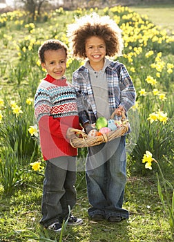 Two Boys Having Easter Egg Hunt In Daffodil Field