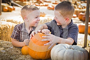 Two Boys Having Fun at the Pumpkin Patch on a Fall Day