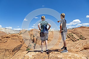 Two boys looking at a scenic view of Zion National Park Utah USA