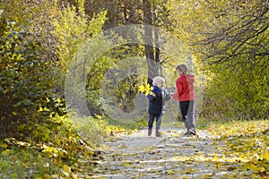 Two boys plaing in the autumn forest. Sunny day. Back view