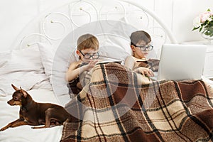 Two boys play at laptop and tablet with dog in bed