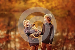 Two boys playing with a dog