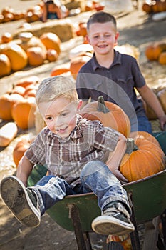 Two Boys Playing in Wheelbarrow at the Pumpkin Patch