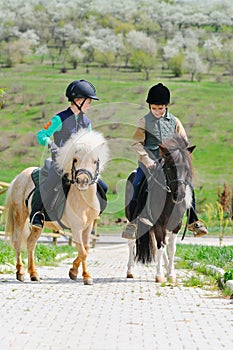 Two boys with ponies