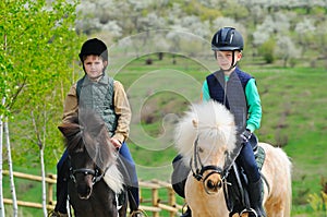 Two boys with ponies