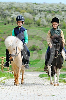 Two boys with ponies