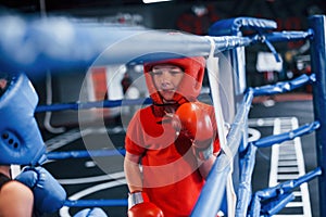 Two boys in protective equipment have sparring and fighting on the boxing ring