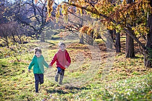 Two boys are running in the autumn forest. Two sibling brother b