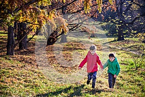 Two boys are running in the autumn forest. Two sibling brother b